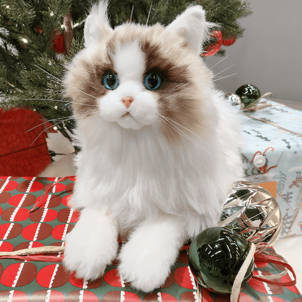 3lbs Ragdoll Weighted Plush – Realistic Cozy Calming Toy