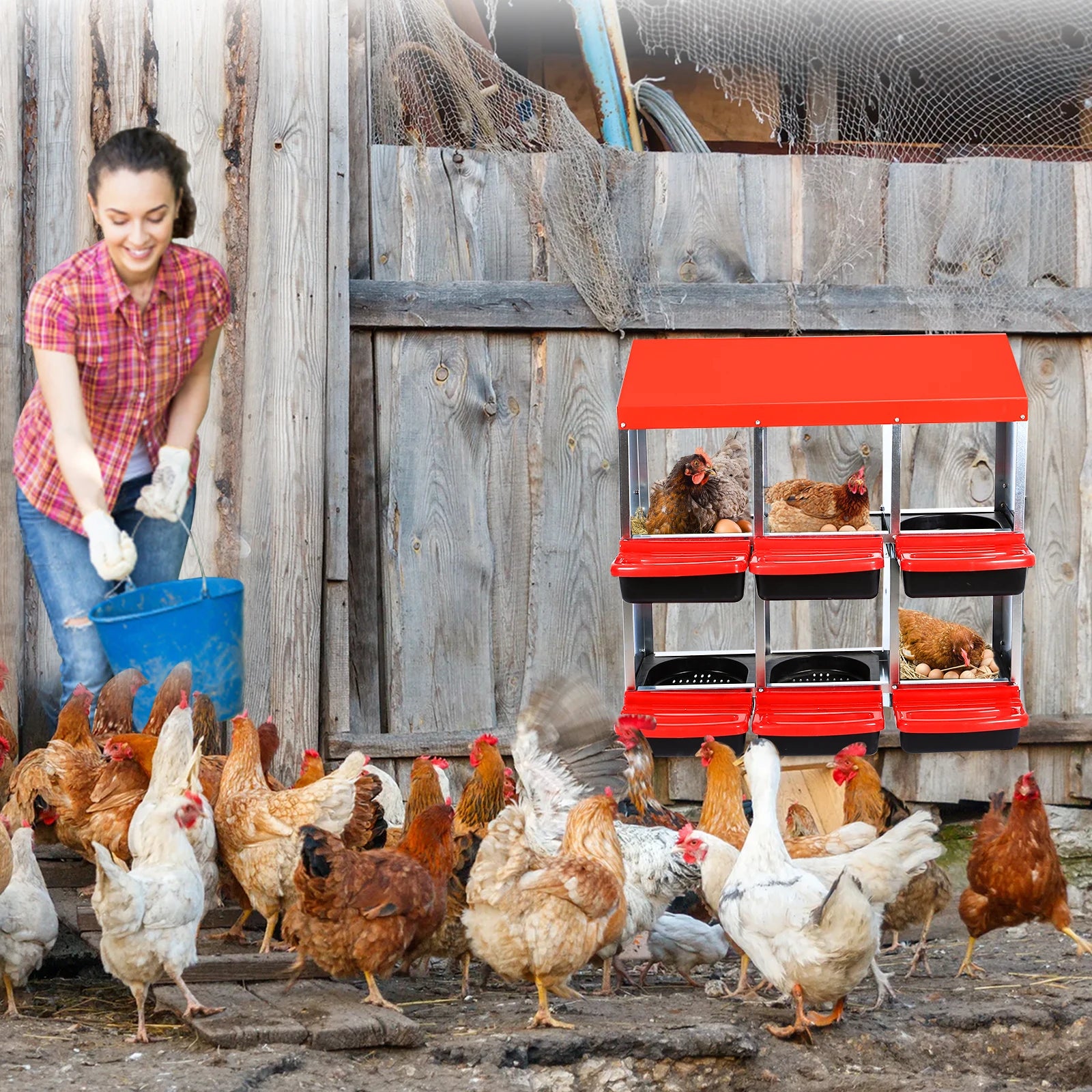 6/8/10 Holes Chicken Nesting Boxes Multi Compartments Metal Laying Boxes with Roll Out Egg Collection for Chickens Hens Ducks