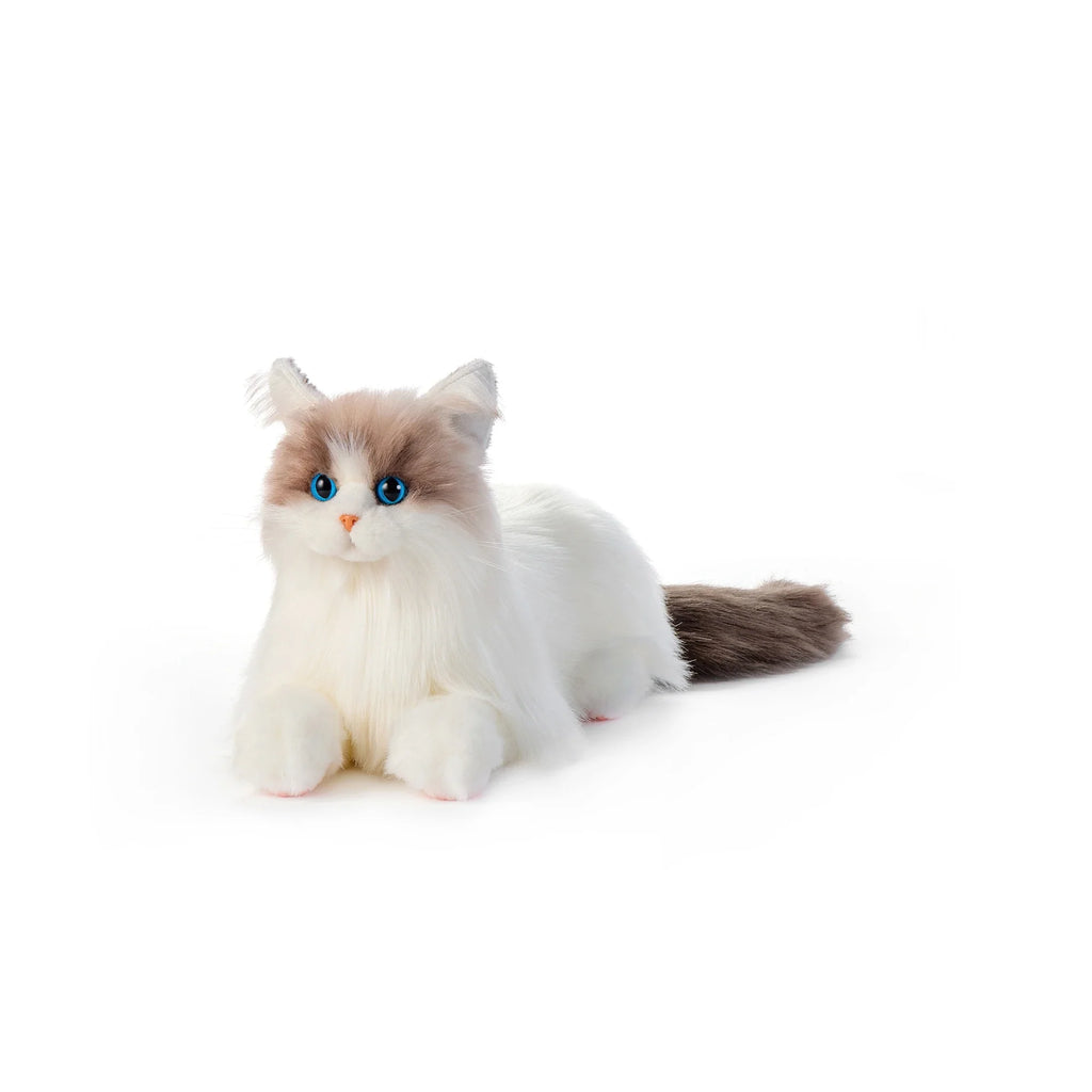 3lbs Ragdoll Weighted Plush – Realistic Cozy Calming Toy