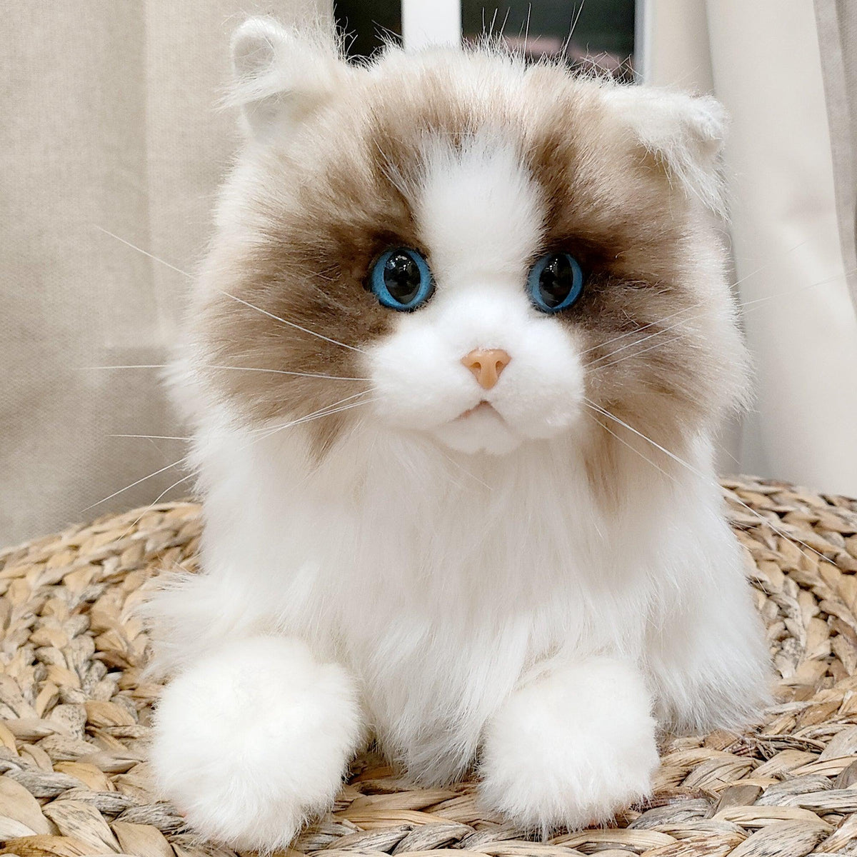 3lbs Ragdoll Weighted Plush – Realistic Cozy Calming Toy