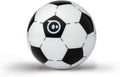 RoboBall STEM Bouncer