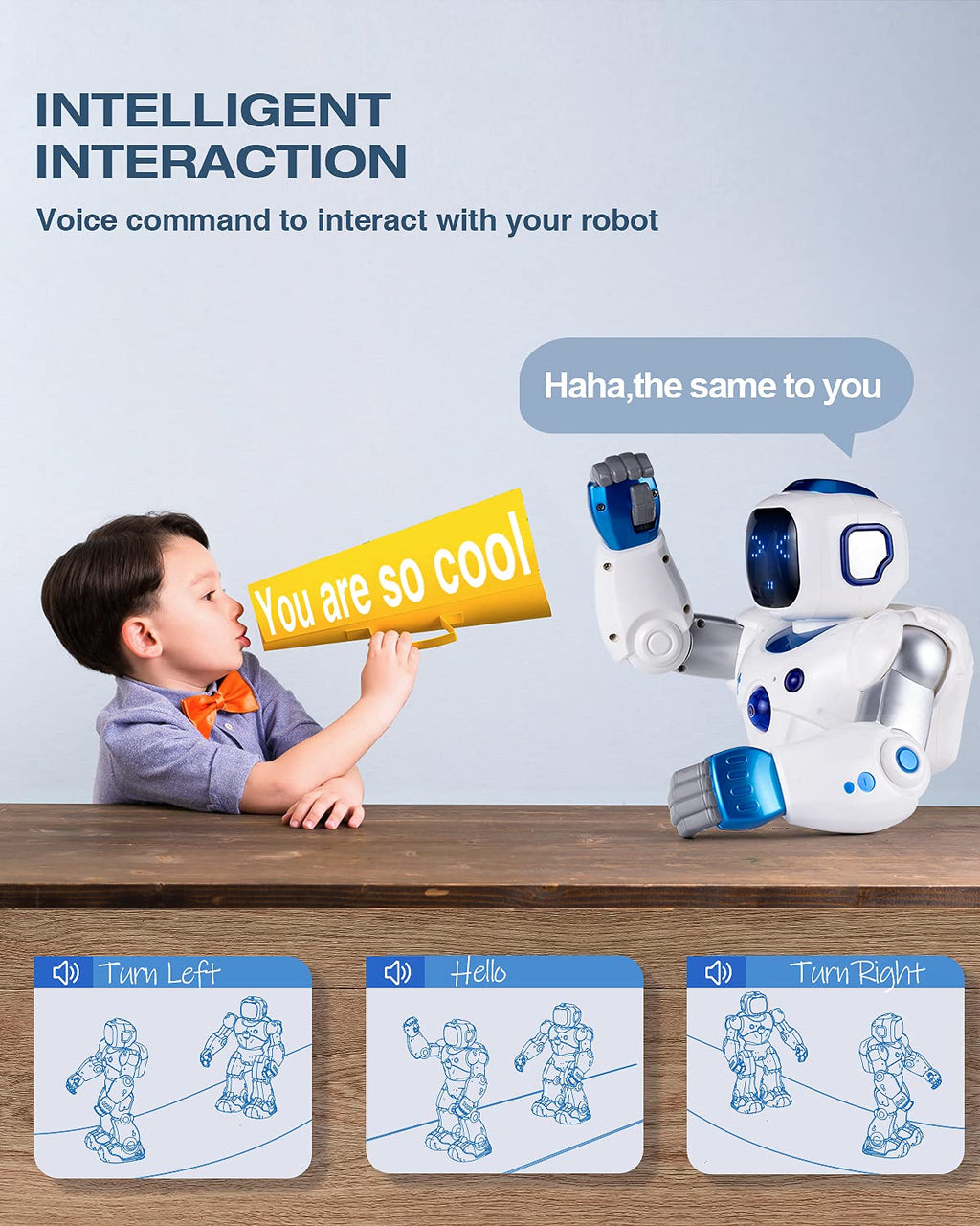 Interactive RC Dancing Robot