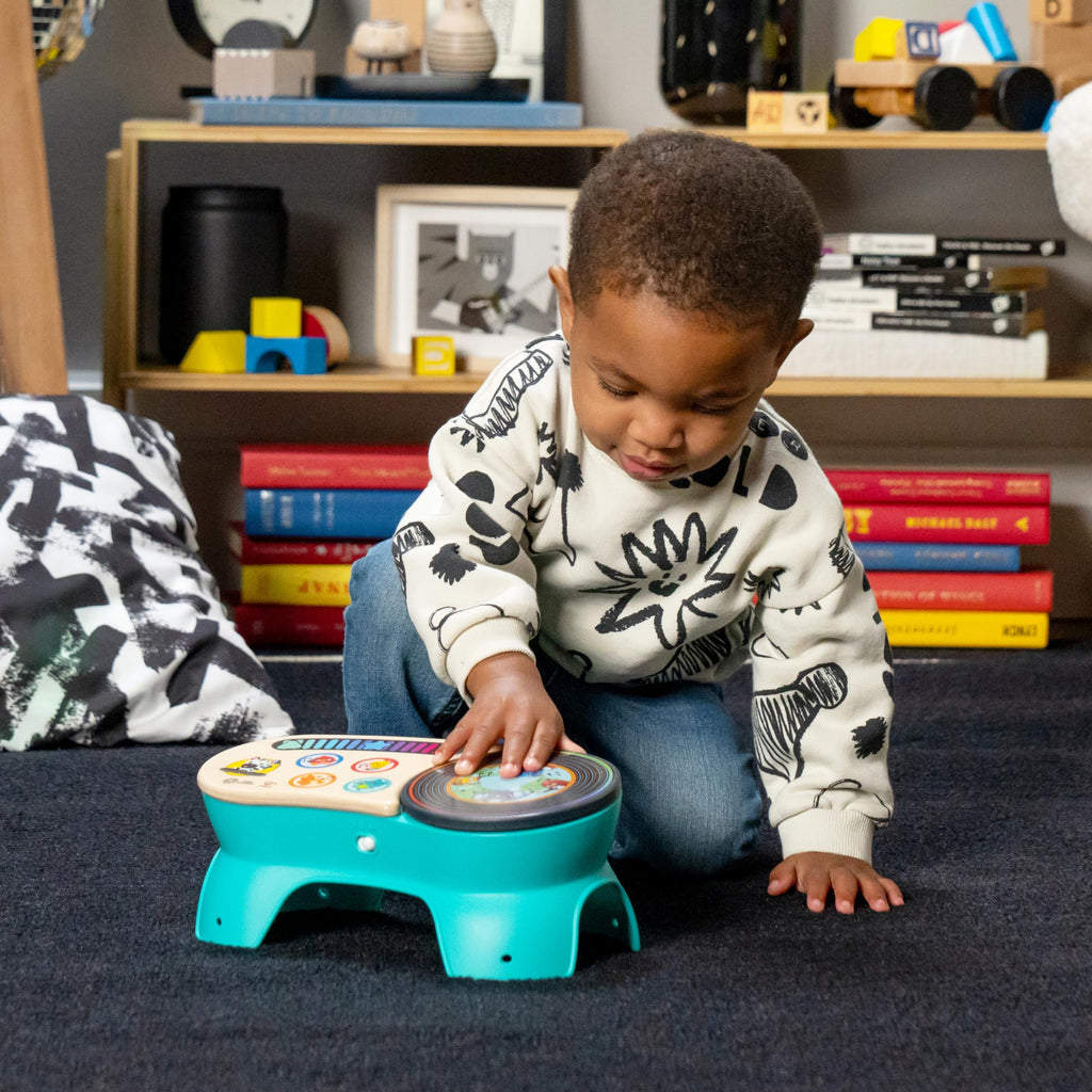 DJ Rocks Toddler Discovery