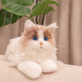 3lbs Ragdoll Weighted Plush – Realistic Cozy Calming Toy