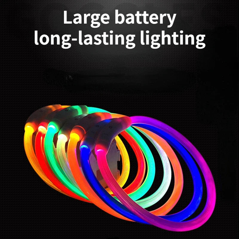 LED Dog Luminous Collar for Night Safety