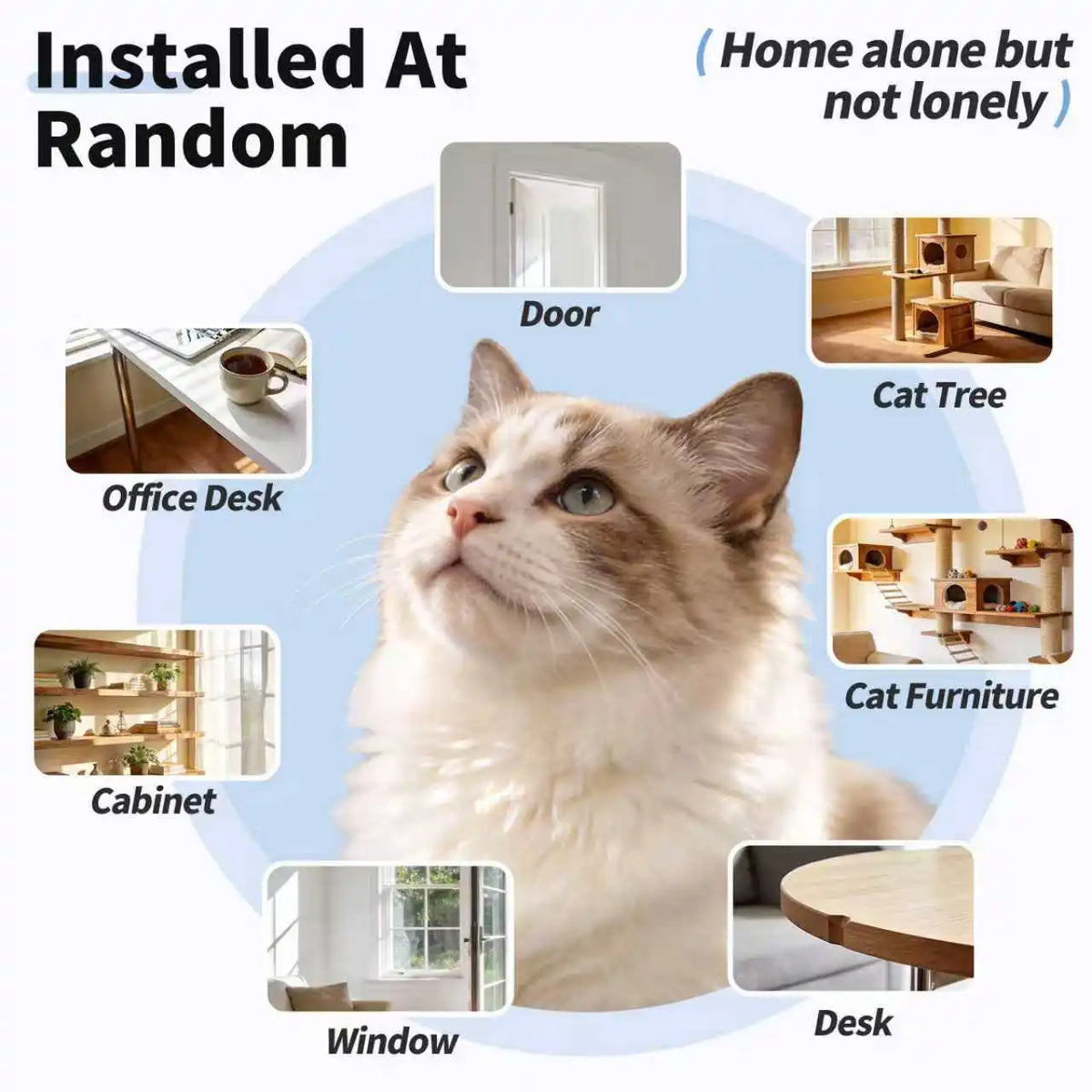 Interactive Cat Toys for Indoor Cats Automatic Electric Flying Bird Feather Mouse Toy ，Hanging Electric Kitty Toys ﻿
