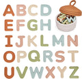 Silicone Alphabet Magnetic Letters, 26 Uppercase ABC Fridge Magnets for Toddlers & Kids, Preschool Learning Refrigerator Toy Set, Birthday Gifts for Boys Girls (Muted Color)